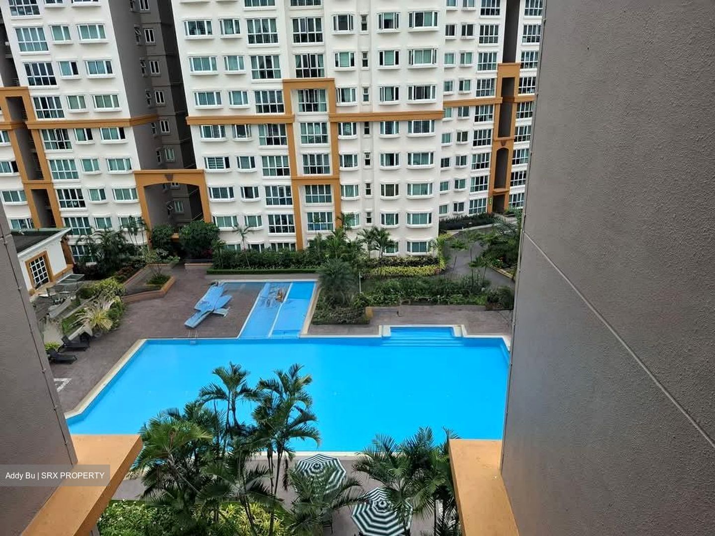 Evergreen Park (D19), Apartment #573542301